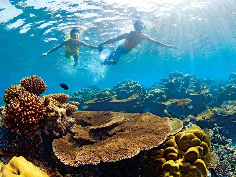 Kanuhura Island Resort & Spa 135327