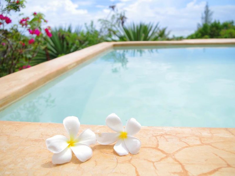 Kasha Boutique Hotel 200291