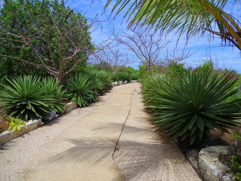 Kasha Boutique Hotel 200302