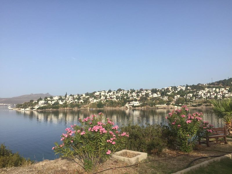 Kassandra Hotel 186238