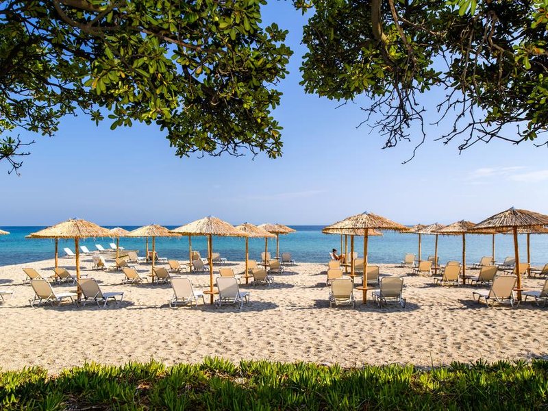 Kassandra Palace Hotel & Spa 259657