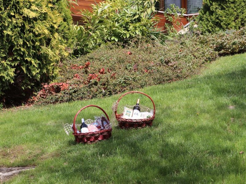 Katarino SPA Hotel 311501