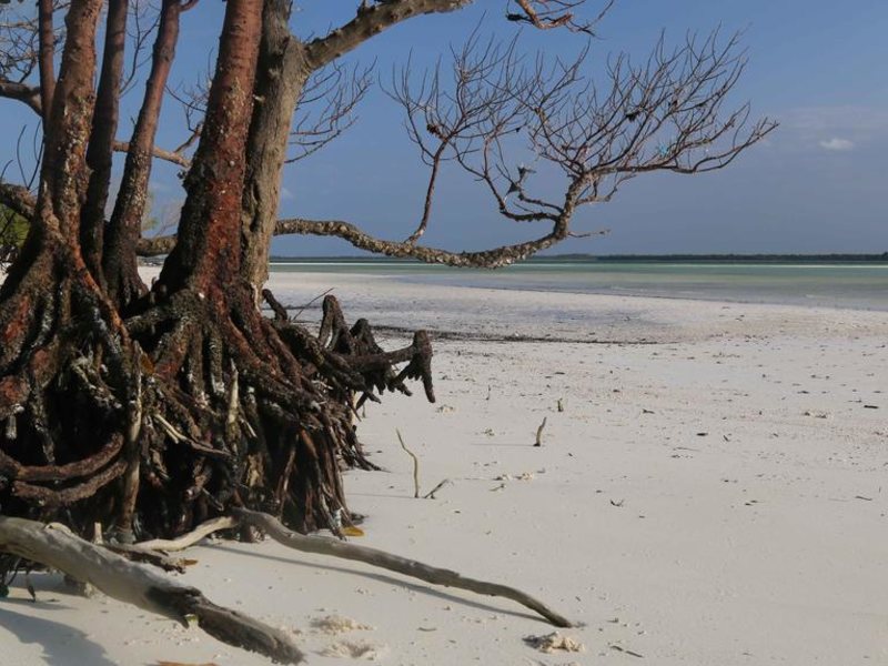 Kichanga Lodge 204289