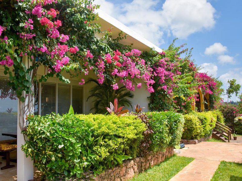 Kidoti Villas by Z 322361