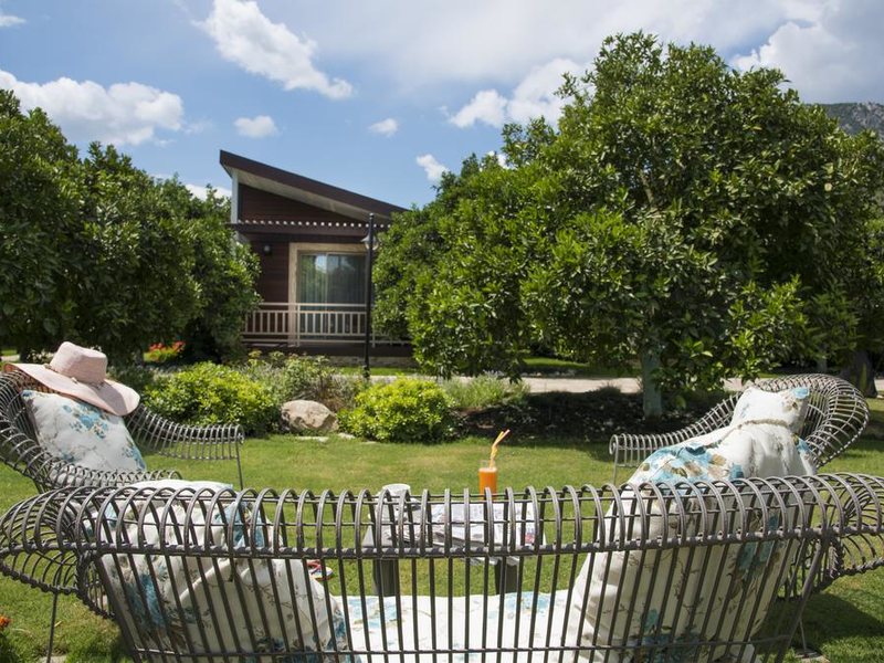 Kimera Lounge Hotel 190353