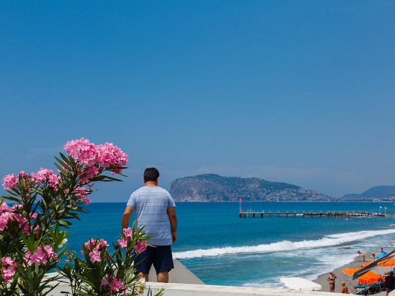 King As Hotel 274997