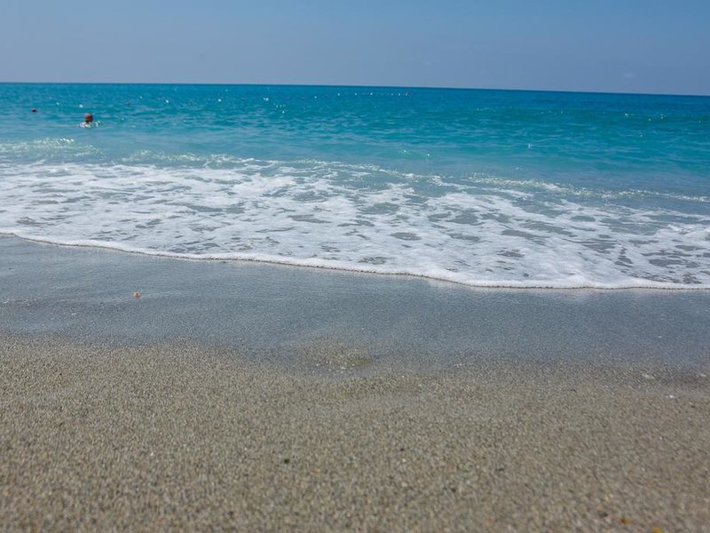 King As Hotel 275001