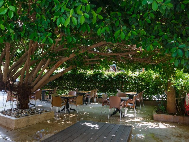 King As Hotel 275002