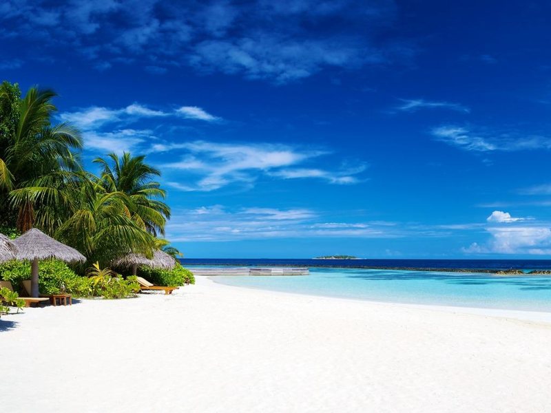 Kiwengwa Beach Resort 200498