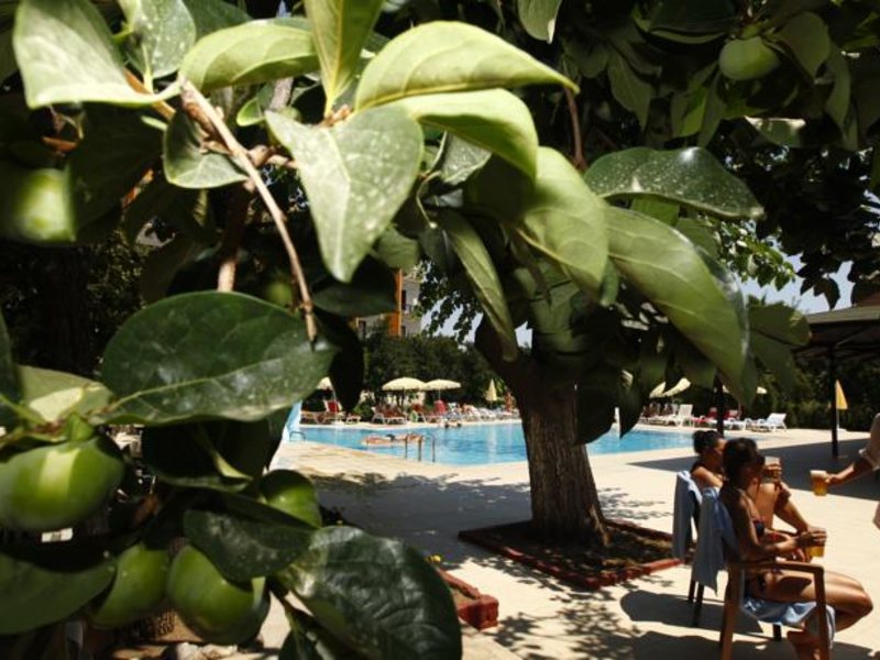 Korient Mira (ex 161888