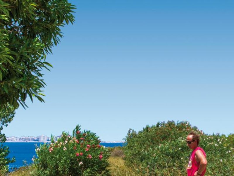 Kresten Palace 82542