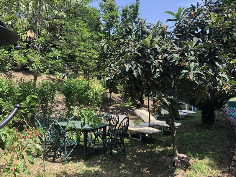 Kromer Garden Hotel  301752