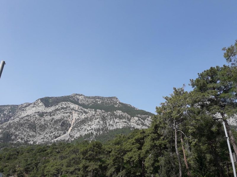 Kromer Garden Hotel  301761