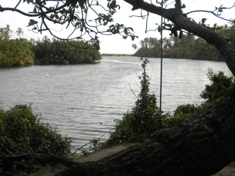 Kumudu Valley Resort 131277