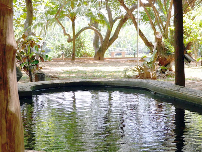Kumudu Valley Resort 131296