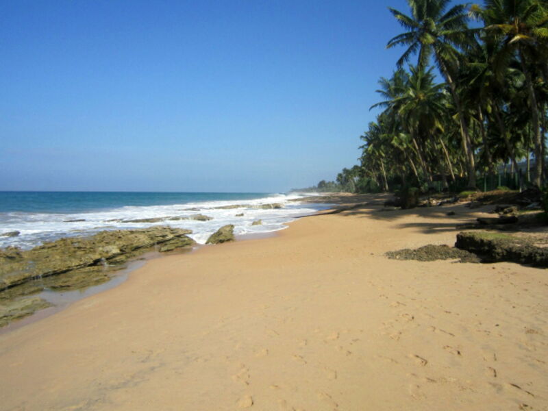 Kumudu Velly Beach Resort 106495