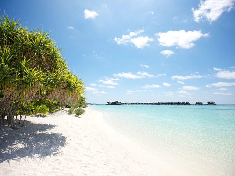 LUX* South Ari Atoll (ех 135728