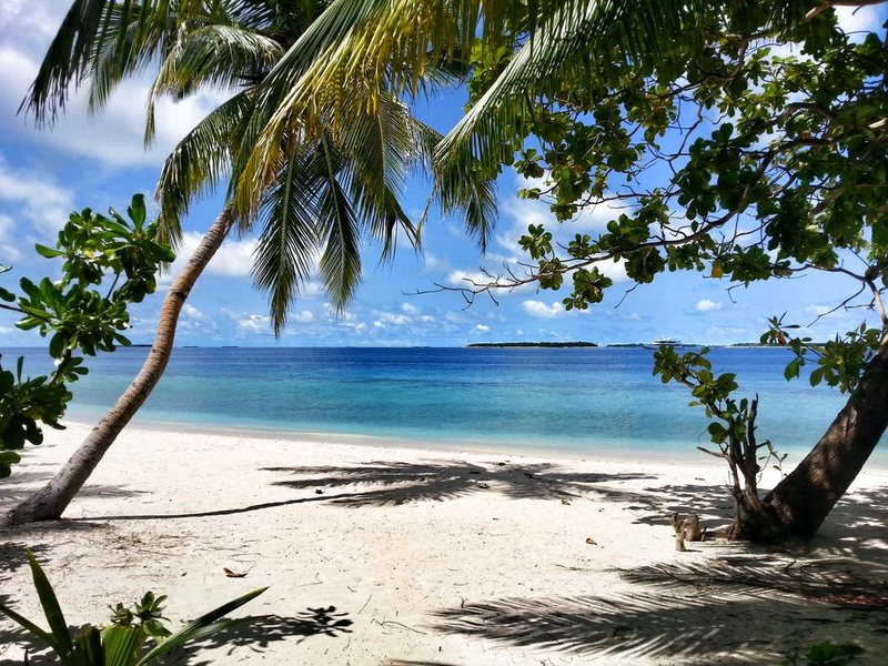 LVIS Blancura Hotel 227972