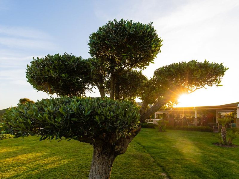 La Blanche Island Bodrum (ex 295589