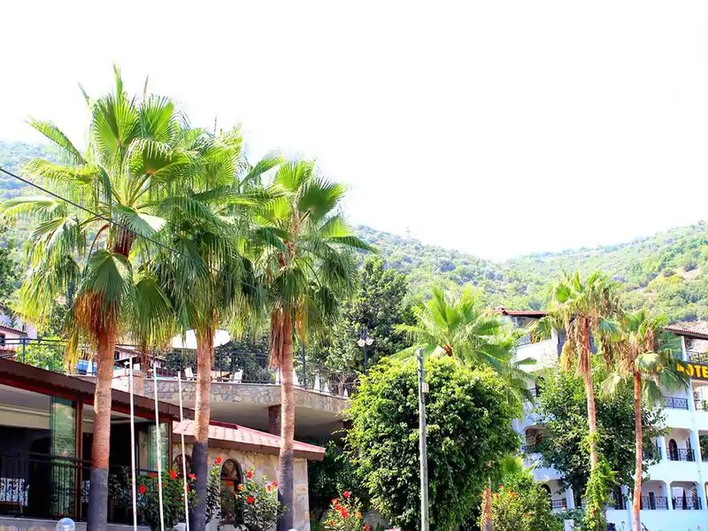 La Finca Marina 186909