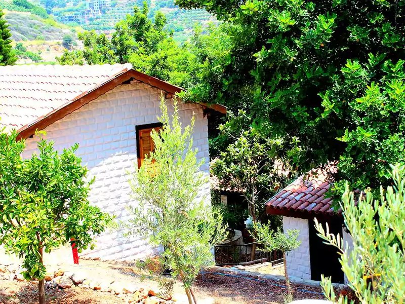 La Finca Marina 186910