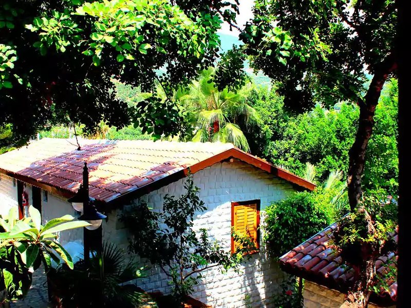 La Finca Marina 186911