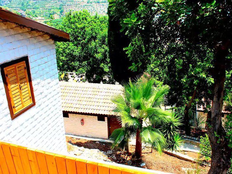 La Finca Marina 186927