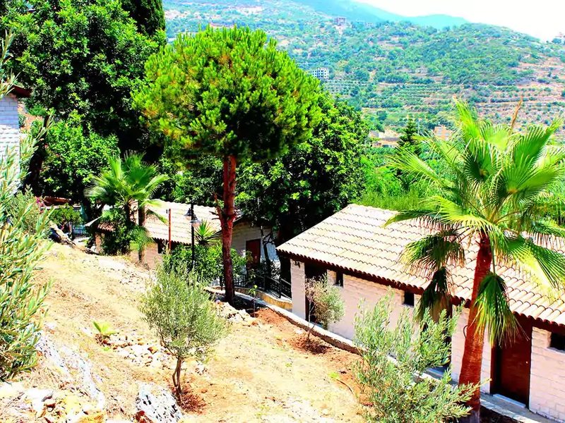 La Finca Marina 186928