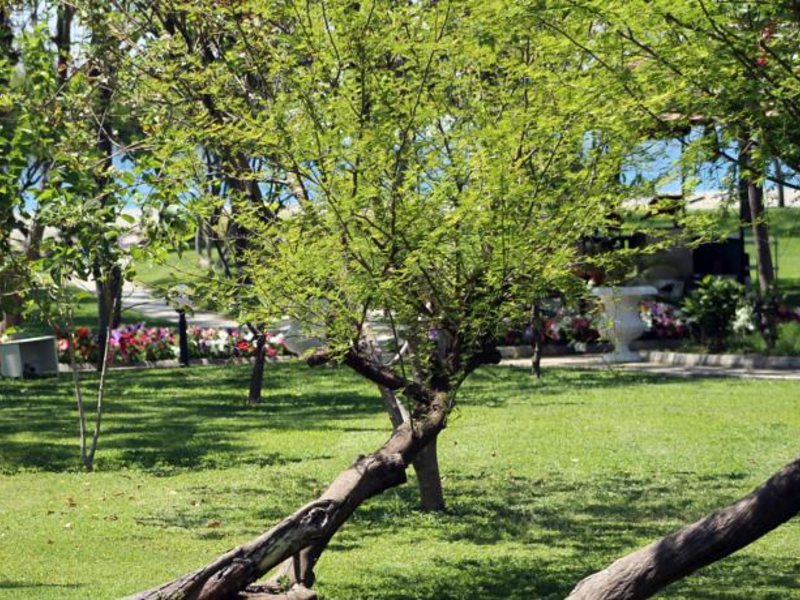 Labranda Alantur Hotel (ех 94632