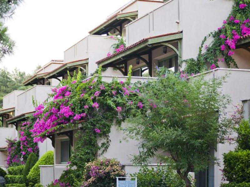 Labranda Mares (Ex 160407