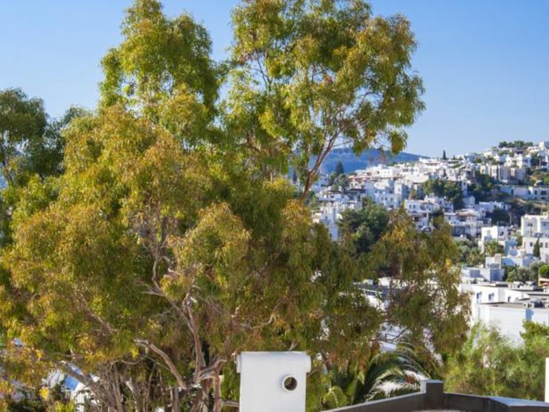 Labranda TMT Bodrum Resort (ex 105332