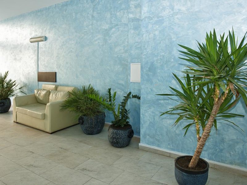 Laguna AH /PM (Sunny Beach) 182054