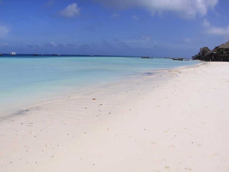 Langi Langi Zanzibar 200574