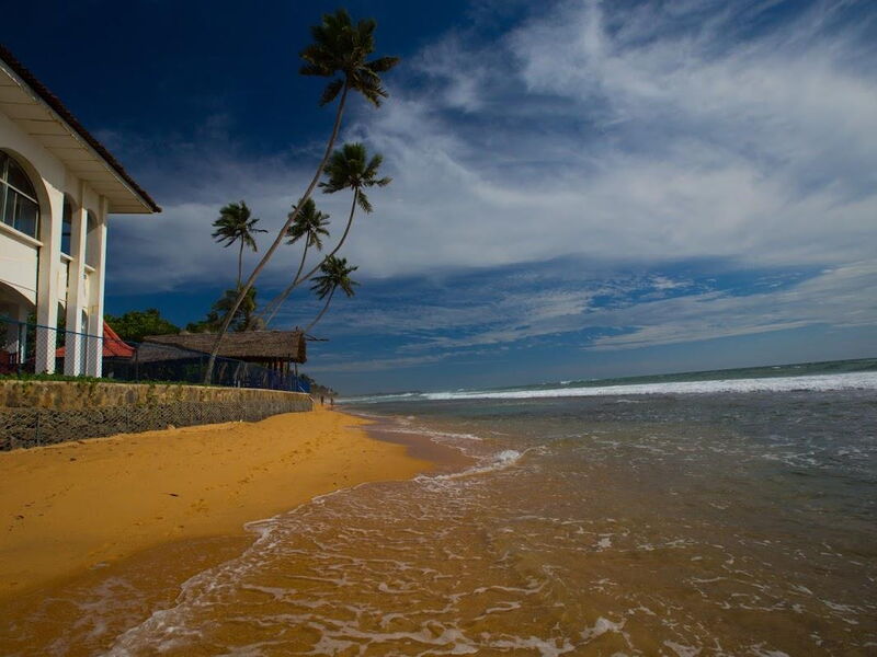 Lanka Super Corals 106516