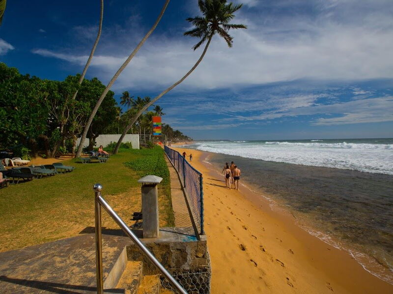 Lanka Super Corals 106518