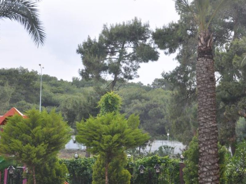 Lara Hadrianus Hotel 93757