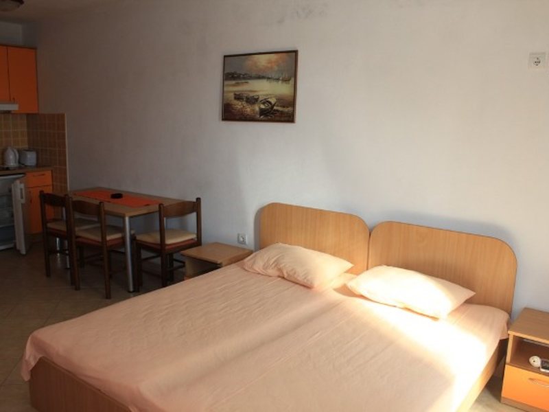 Larisa Budimic  88738