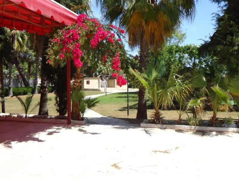 Larissa Mare Beach 157702