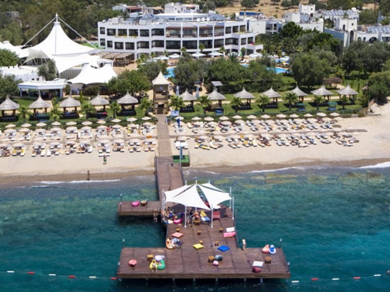 Latanya Park Resort  93910