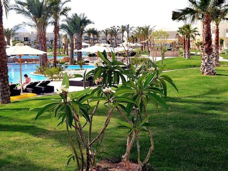 Le Royal Holiday Sharm 57735