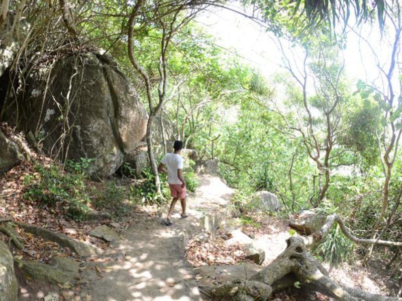 Levels by Сantaloupe Unawatuna 131324