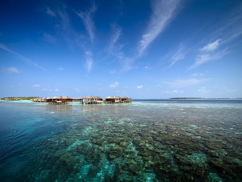 Lily Beach Resort & Spa 135588