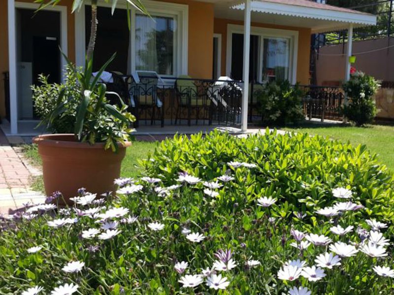 Limoncello Sandy Beach (ех 56990