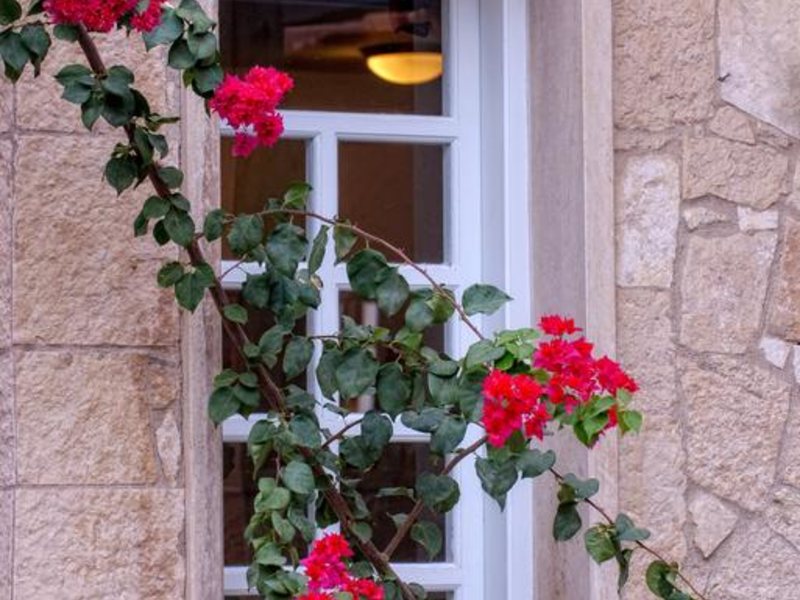 Lino Mare Hotel 254779