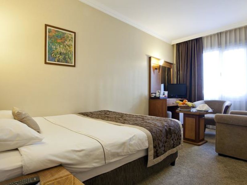 Lion Hotel 94170