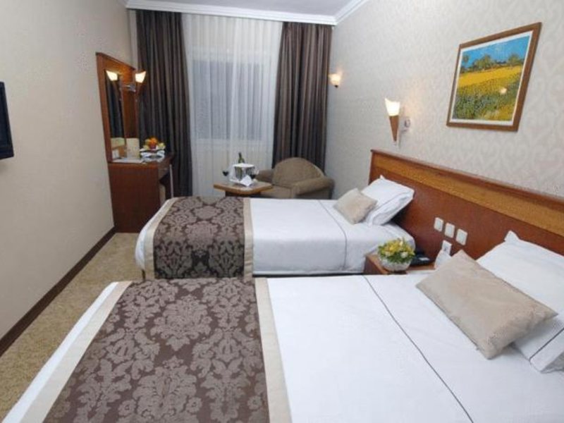 Lion Hotel 94175