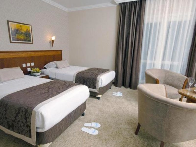 Lion Hotel 94176