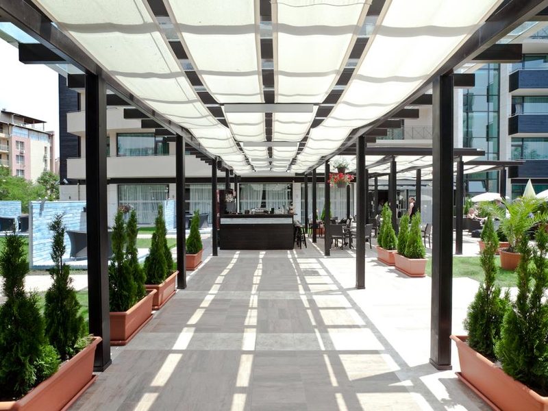 Lion (Sunny Beach)  172099