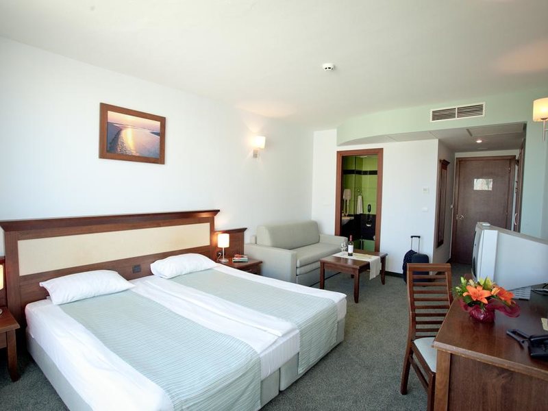 Lion (Sunny Beach)  172106