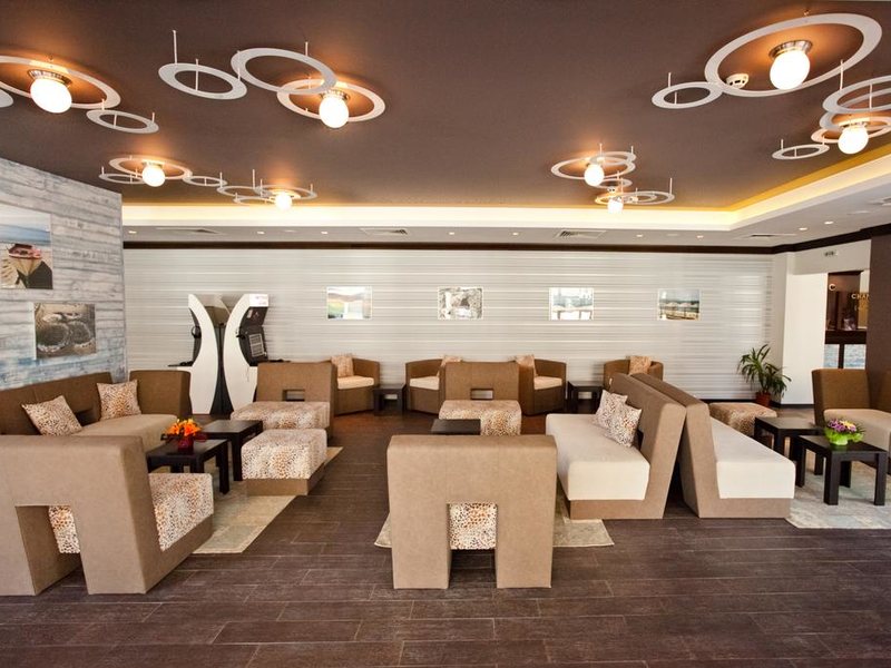 Lion (Sunny Beach)  172110